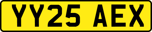 YY25AEX
