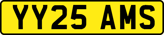 YY25AMS