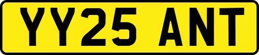 YY25ANT