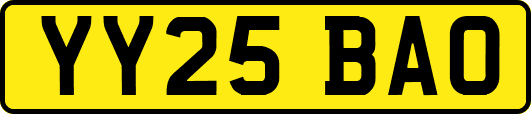 YY25BAO