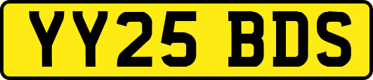 YY25BDS