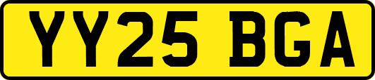 YY25BGA