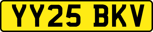 YY25BKV