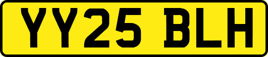 YY25BLH