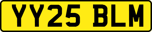 YY25BLM
