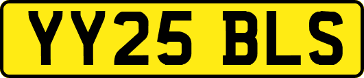 YY25BLS