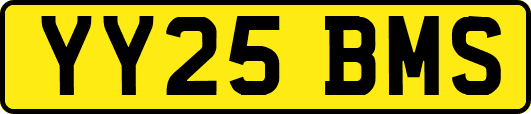 YY25BMS