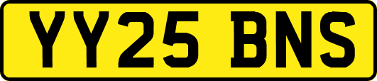 YY25BNS