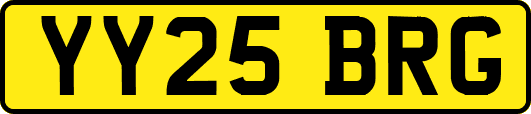 YY25BRG