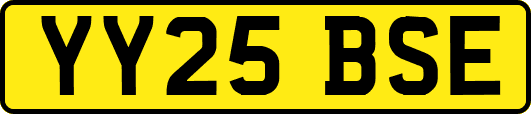 YY25BSE
