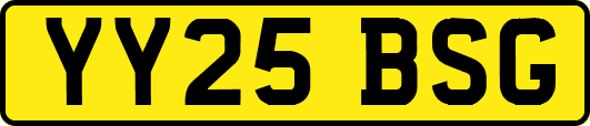YY25BSG