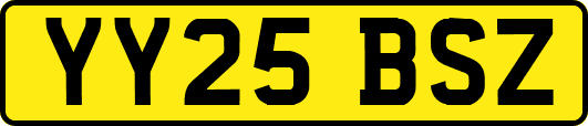 YY25BSZ