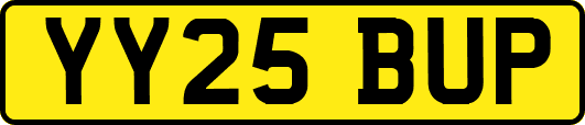 YY25BUP
