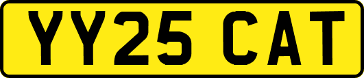 YY25CAT
