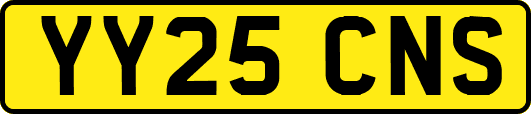 YY25CNS