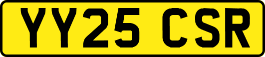 YY25CSR