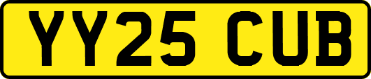 YY25CUB