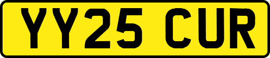 YY25CUR