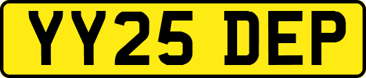 YY25DEP
