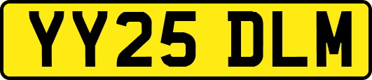YY25DLM