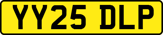 YY25DLP