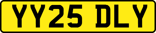 YY25DLY