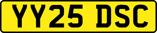 YY25DSC