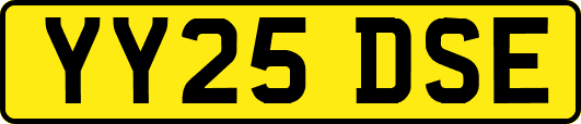 YY25DSE