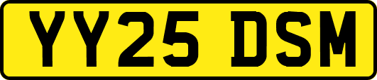 YY25DSM