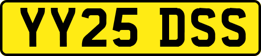 YY25DSS