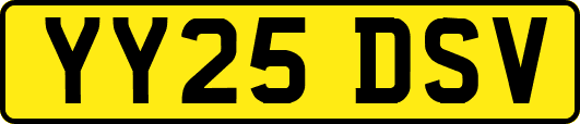 YY25DSV