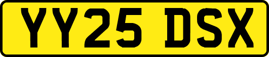YY25DSX