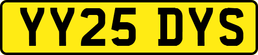 YY25DYS
