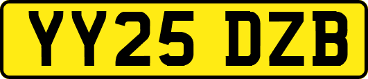 YY25DZB
