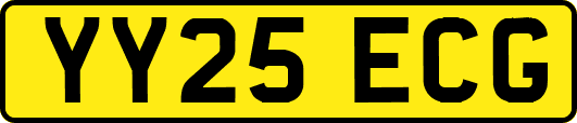 YY25ECG