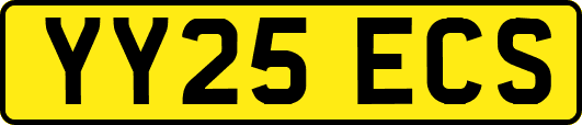 YY25ECS