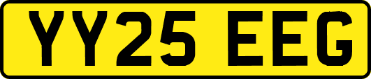 YY25EEG
