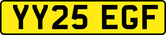 YY25EGF