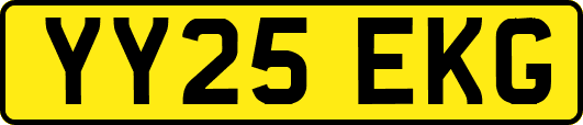 YY25EKG