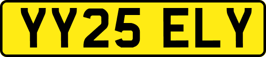 YY25ELY
