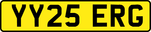 YY25ERG