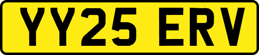 YY25ERV