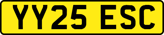 YY25ESC