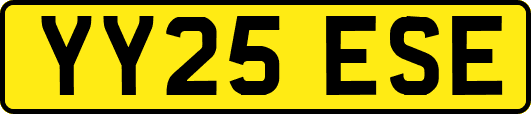 YY25ESE