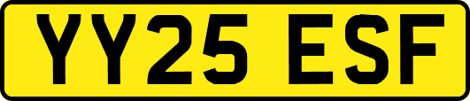 YY25ESF