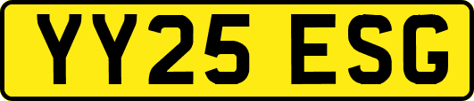 YY25ESG