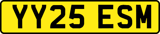 YY25ESM