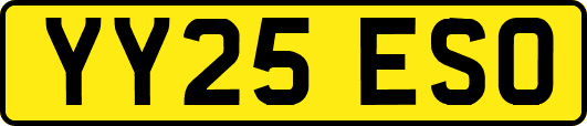 YY25ESO