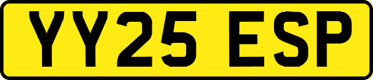 YY25ESP