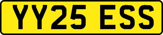 YY25ESS